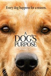 A Dogs Purpose 2017 Dvdrip Full Movie Free Download A Dogs Purpose 2017 Dvdrip Full Movie Free Download